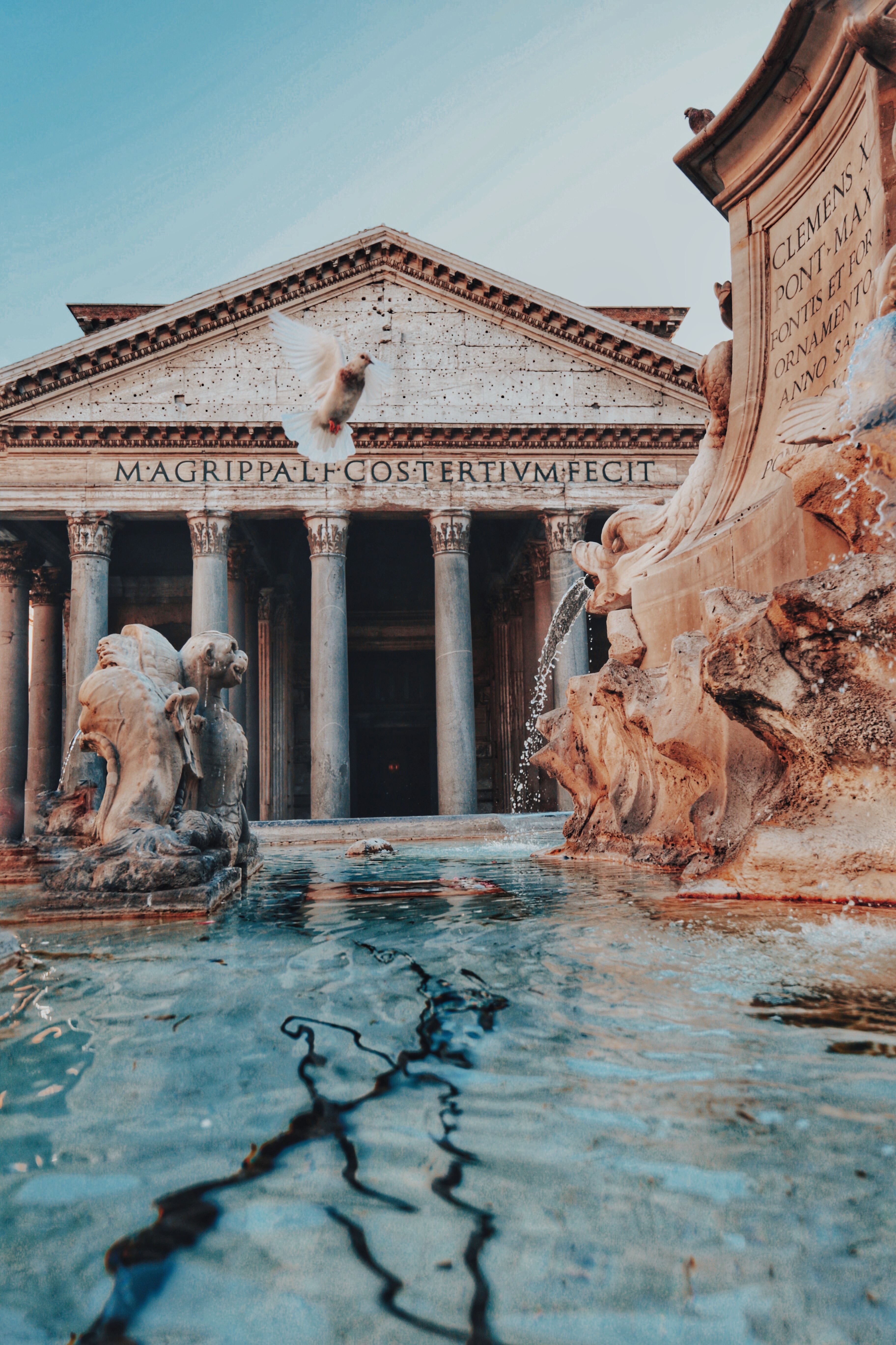 Gloria Cretu Iek Zweb0fw Unsplash